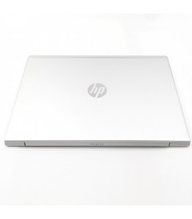 HP ProBook 455 G7 - R5