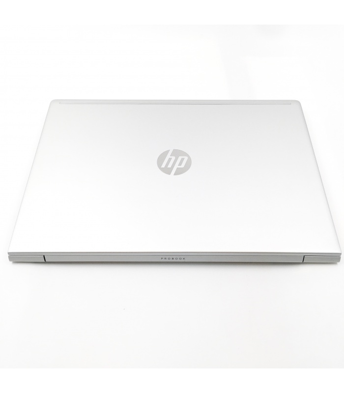 HP ProBook 455 G7 - R5