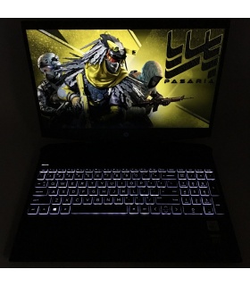 HP Pavilion Gaming 15-dk1 -C